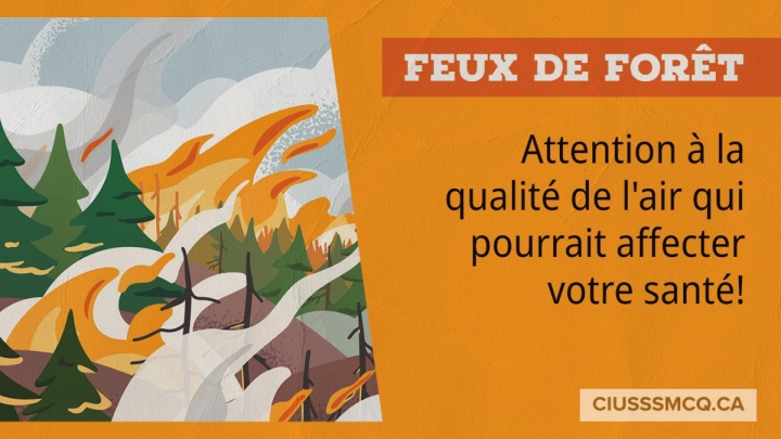 Recommandations concernant la fumée des feux
