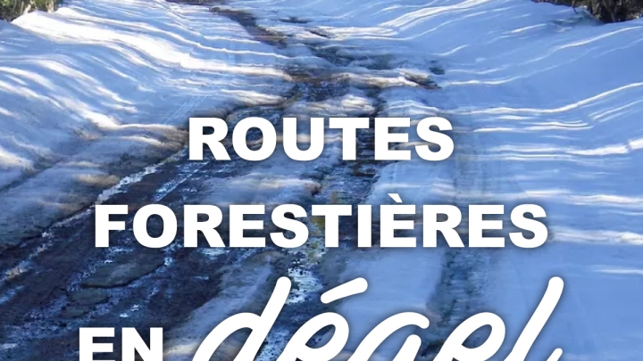 Route forestière 1 toujours fermée au km 1 et état de la route 10