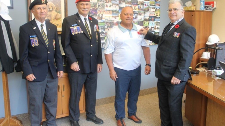 Campagne annuelle du coquelicot