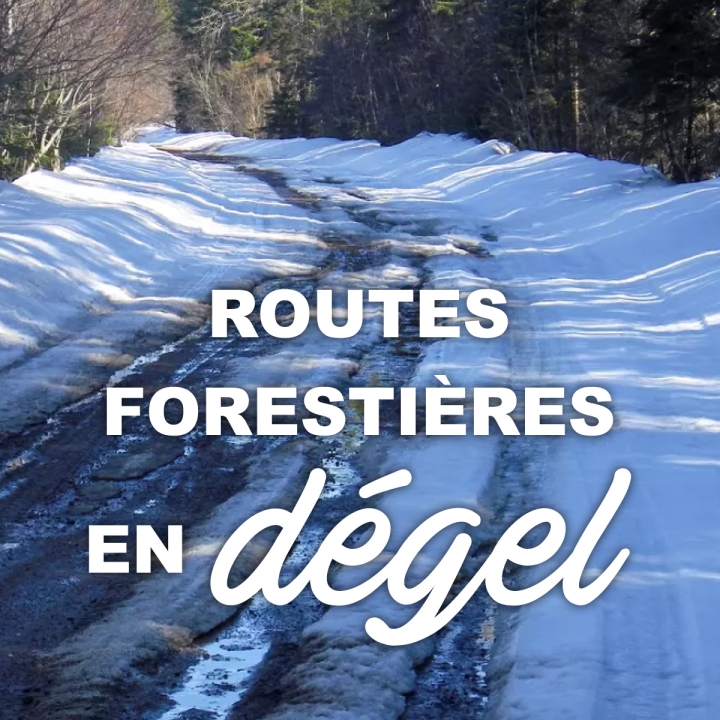 Route forestière 1 toujours fermée au km 1 et état de la route 10