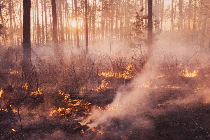 Journée porte ouverte sur la lutte contre les feux de forêt