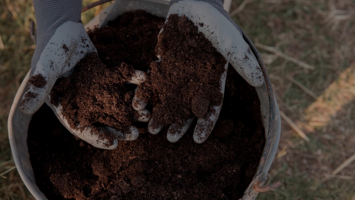 Distribution de compost