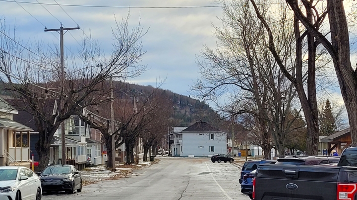 Rue Saint-Eugène : 2 arbres seront coupés