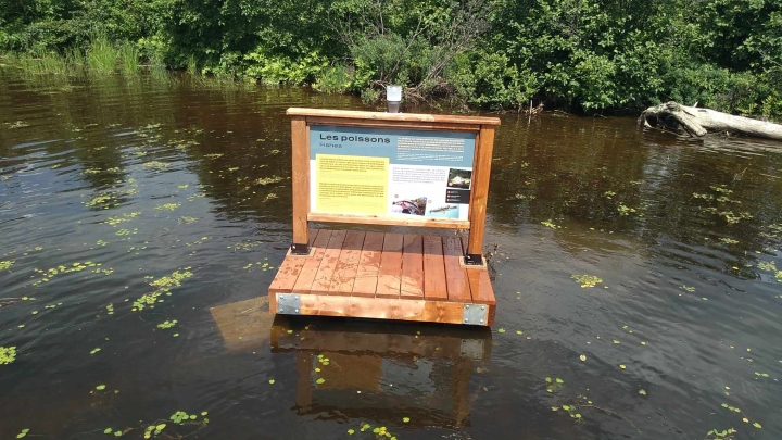 Circuit canotable des marais de Fitzpatrick