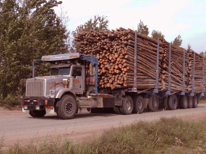 Transport de bois sur la route forestière 10
