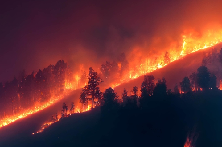 Votre résidence est située à proximité de la forêt et est donc exposée aux risques de feux de forêt? Profitez de nos conseils!