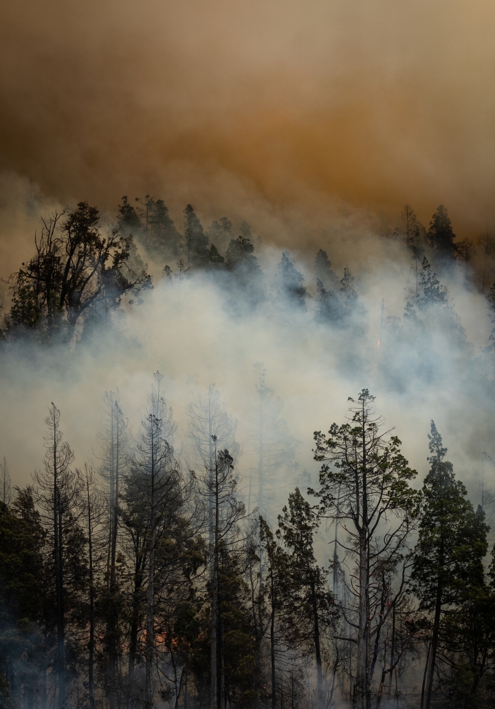 Mauvaise qualité de l'air : conseils de prévention