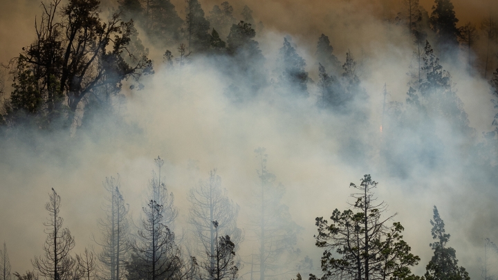 Mauvaise qualité de l'air : conseils de prévention