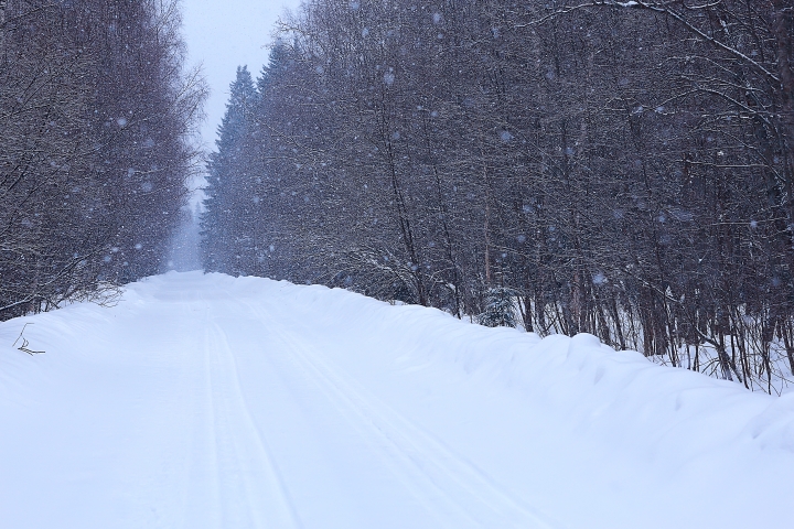 Entretien hivernal des routes forestières